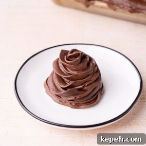 Thick and stable chocolate fudge frosting made with real chocolate piped onto a plate to show how easy it is to work with.