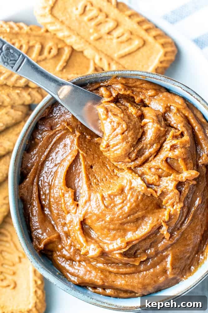5-Minute Cookie Butter Recipe: Quick Homemade Spread 2 Overhead shot of cookie butter in a bowl with a silver knife in it.