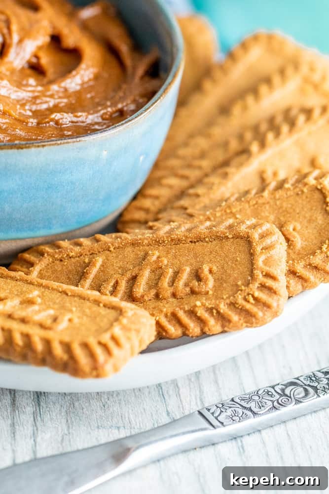 5-Minute Cookie Butter Recipe: Quick Homemade Spread 3 Cookies on white plate with bowl of spread.