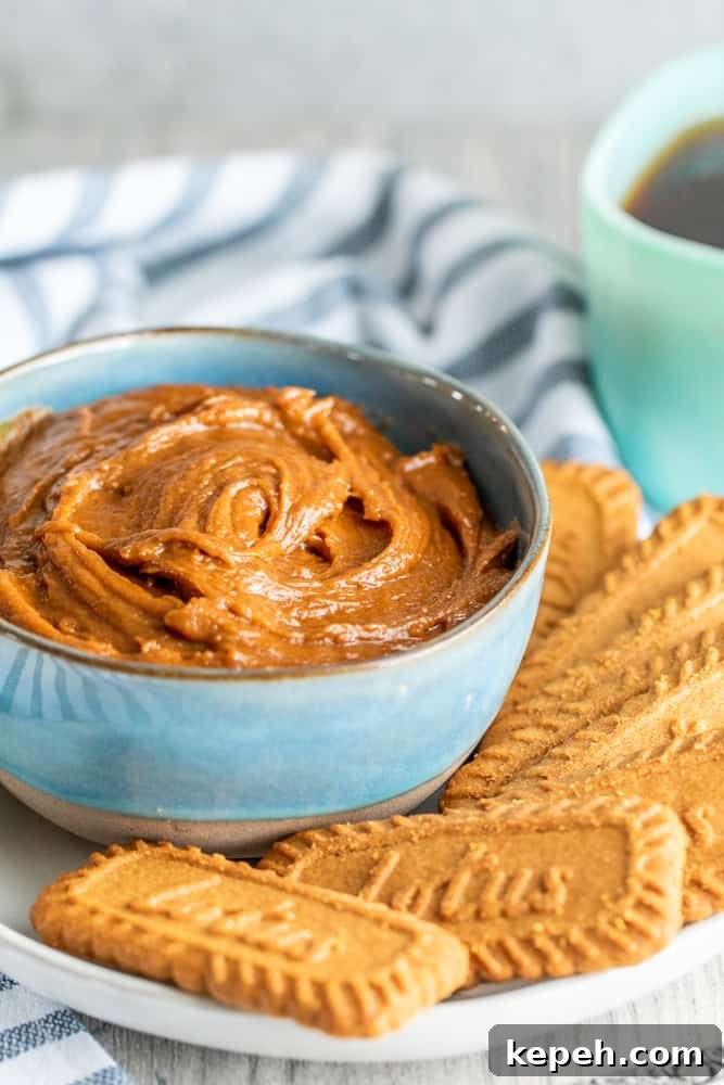 5-Minute Cookie Butter Recipe: Quick Homemade Spread 6 Angle shot of cookie spread in blue bowl with cookies.