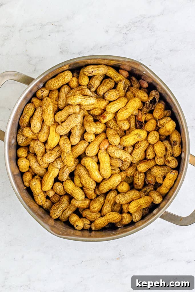 Cajun-Style Boiled Peanuts: Spicy Southern Snack Recipe 3 Peanuts in a pan.