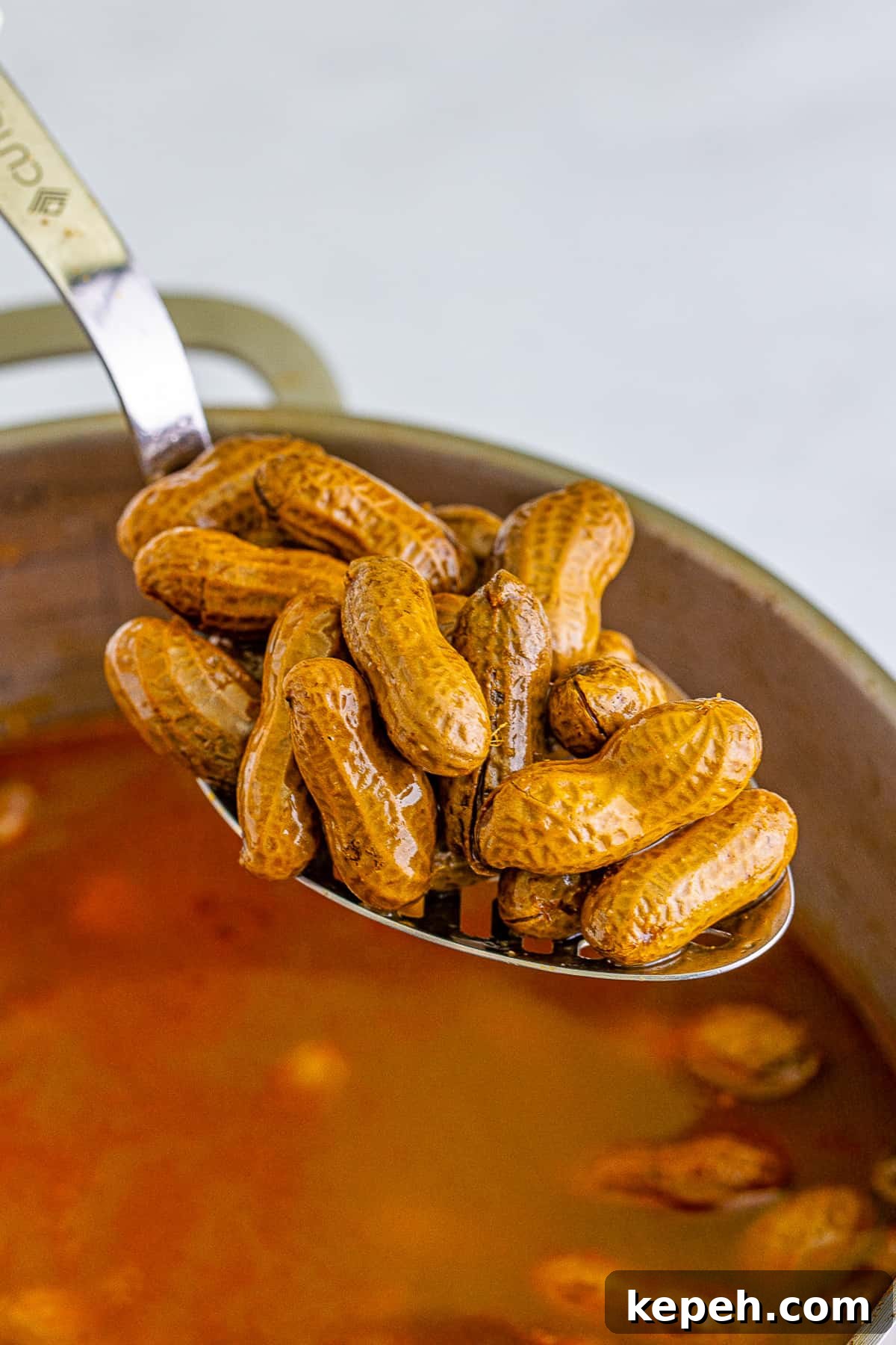 Cajun-Style Boiled Peanuts: Spicy Southern Snack Recipe 5 Cooked peanuts on a spoon.