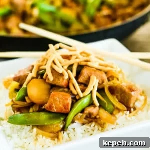 Classic Pork Chop Suey Recipe for Authentic Chinese Takeout Taste 7 plate of pork chop suey with rice and chopsticks