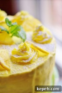 Close up of lemon cake topped with 7 buttercream swirls, lemon slices, and a sprig of mint.