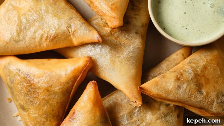 Top view of Keema Samosas on a plate with raita on the side.