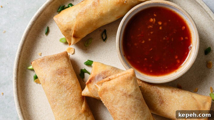 Chicken Spring Rolls