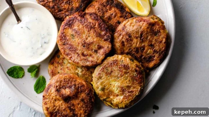 A white plate with Shami Kebab