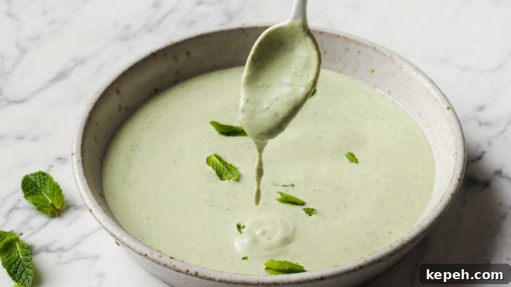 Cilantro Mint Raita
