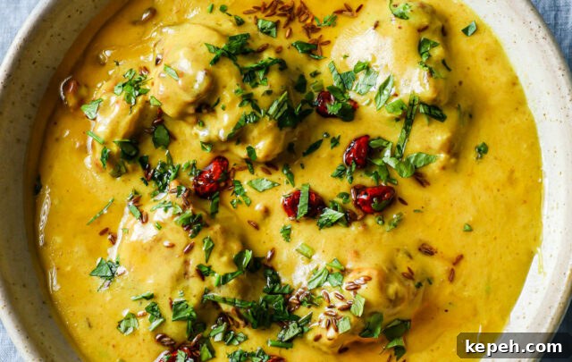 Kadhi Pakora