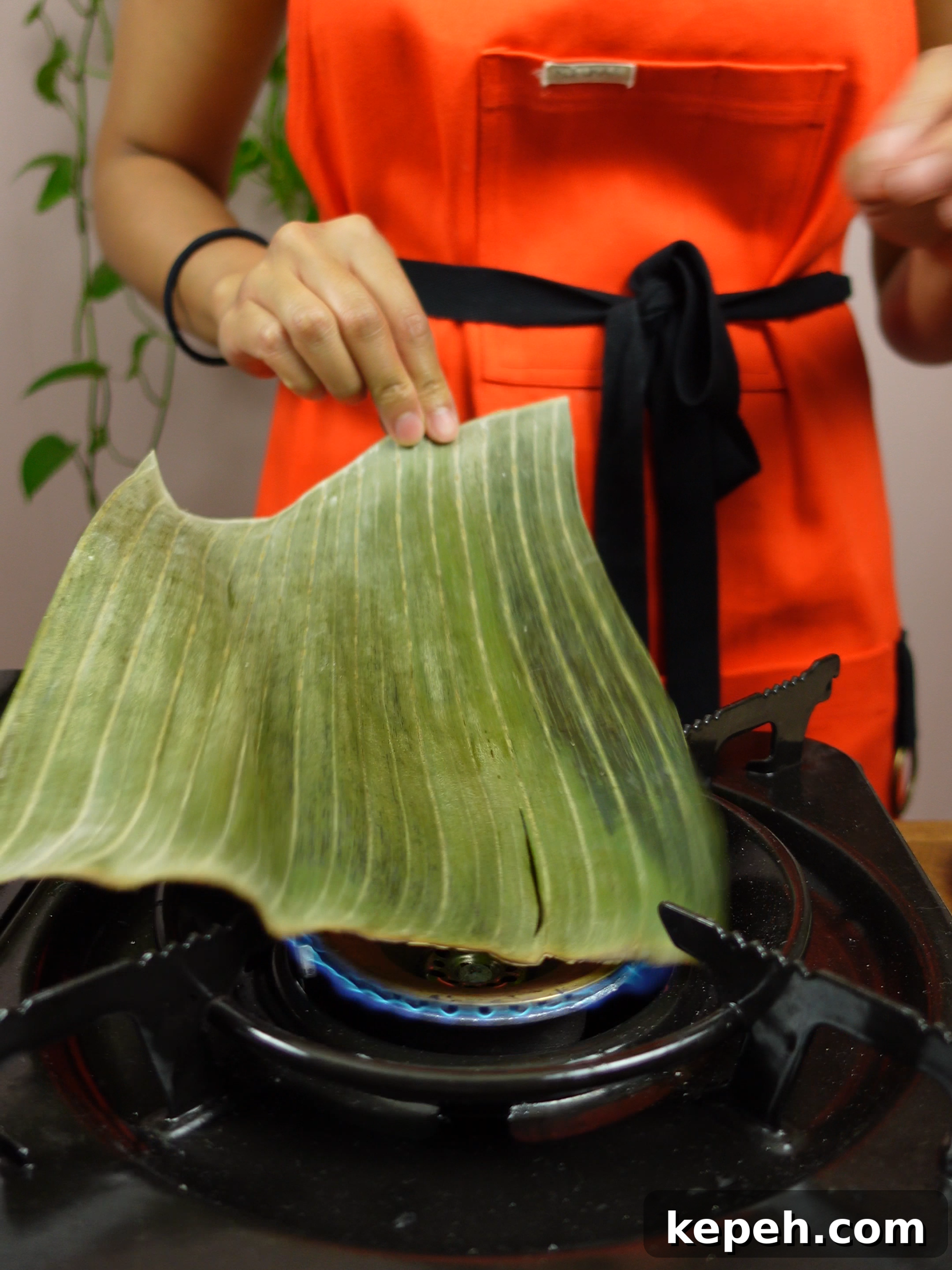 Wilted banana leaves
