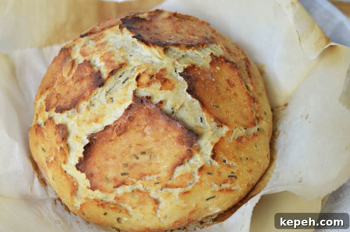 Savory Herb and Cheese Loaf Recipe for Homemade Bread 8 round loaf of crusty herb artisan bread.