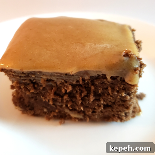 Keto Chocolate Cake Recipe: Moist Low-Carb Chocolate Cake 2 img 7372 1