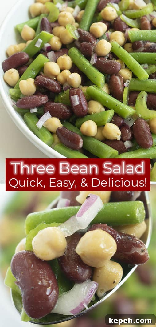 Classic Three-Bean Salad Recipe for Summer Potlucks 12 Mixed beans and vegetables in a bowl and on a spoon titled Three Bean Salad Quick, Easy, & Delicious!