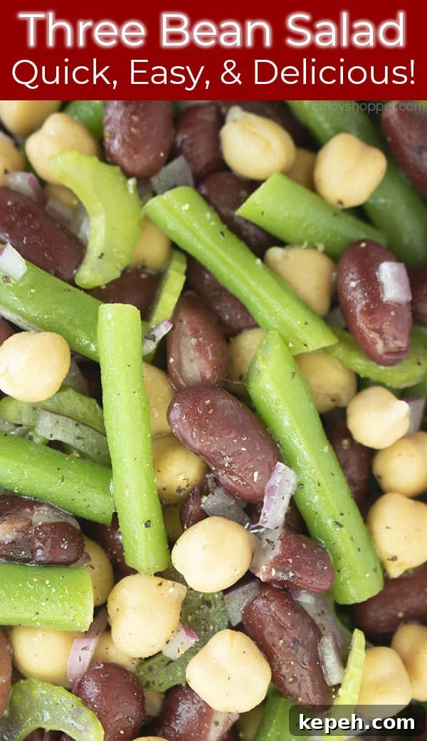 Classic Three-Bean Salad Recipe for Summer Potlucks 13 Close up of cold salad titled Three Bean Salad Quick, Easy, & Delicious!