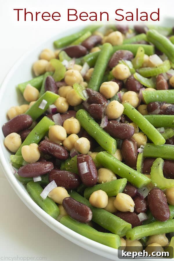 Classic Three-Bean Salad Recipe for Summer Potlucks 6 Bowl of beans and vegetables titled Three Bean Salad