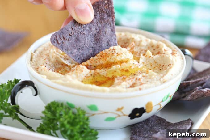 Hand with a blue tortilla chip dipping it in hummus.