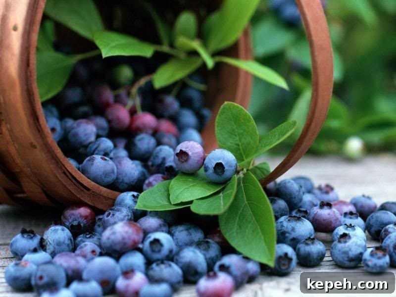 Blueberries img 8981 4