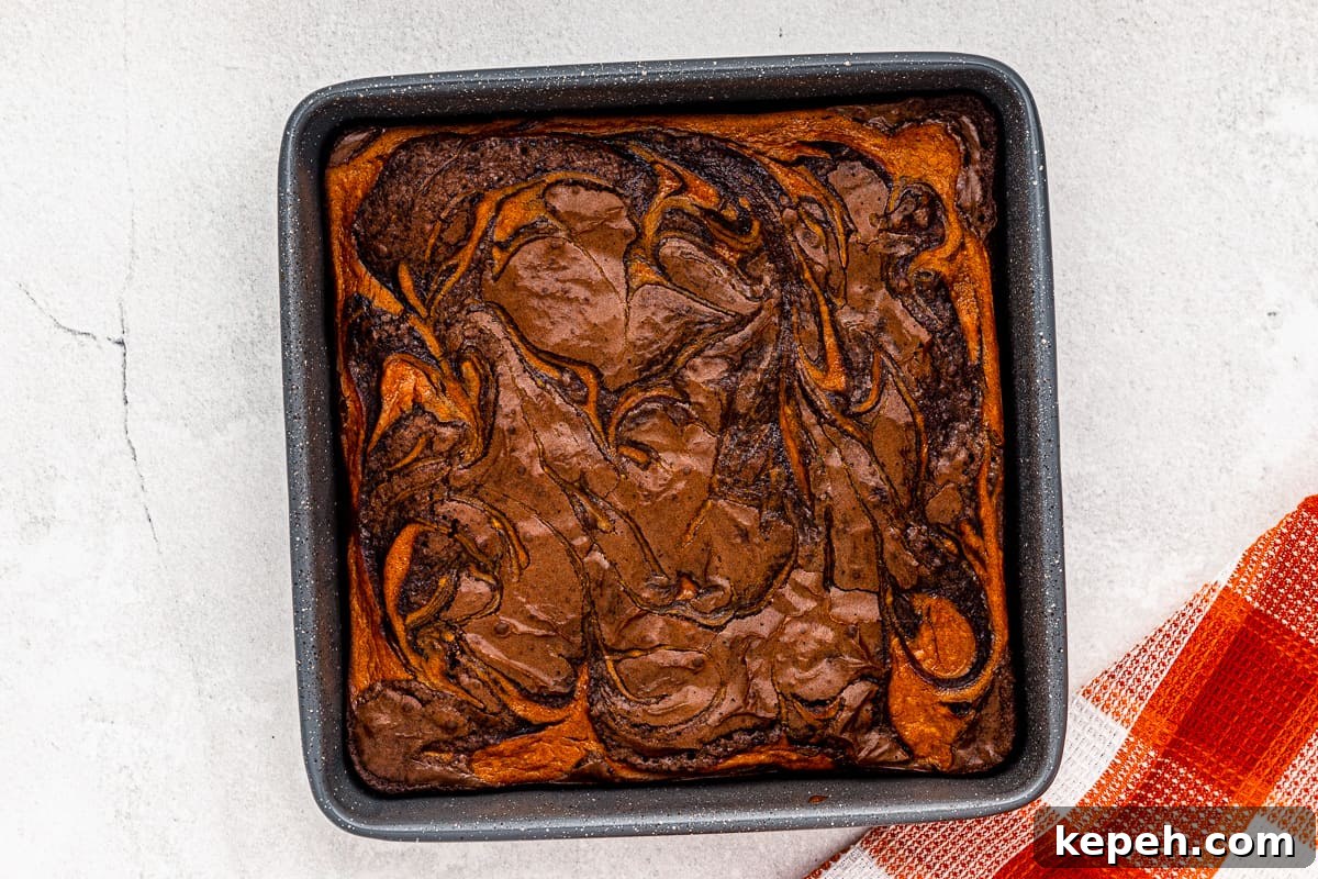 Chewy Pumpkin Brownies with Warm Spice and Chocolate Swirl 11 how to make pumpkin brownies