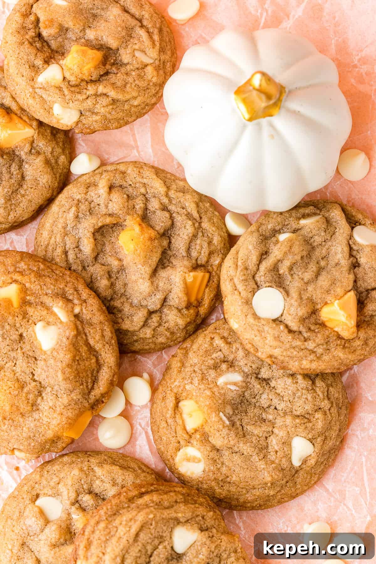 Chewy Pumpkin Brownies with Warm Spice and Chocolate Swirl 13 Pumpkin Spice Cookies
