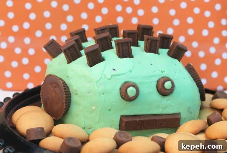 Mint Chocolate Chip Dip