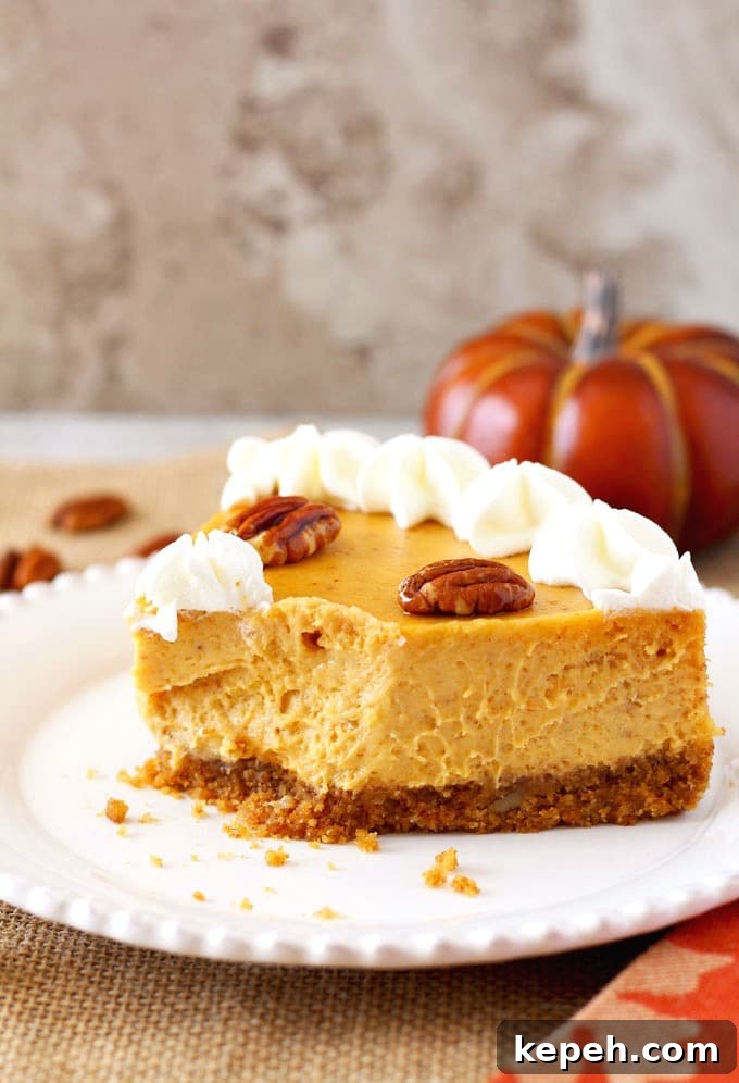 Pumpkin Cheesecake with Pecan Graham Cracker Crust Recipe 2 A sliced of cheesecake with a spoonful taken off on a white plate.