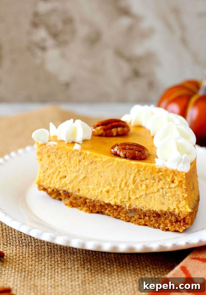 Pumpkin Cheesecake with Pecan Graham Cracker Crust Recipe 4 A sliced of creamy cheesecake topped with whipped cream and pecans on a white plate.