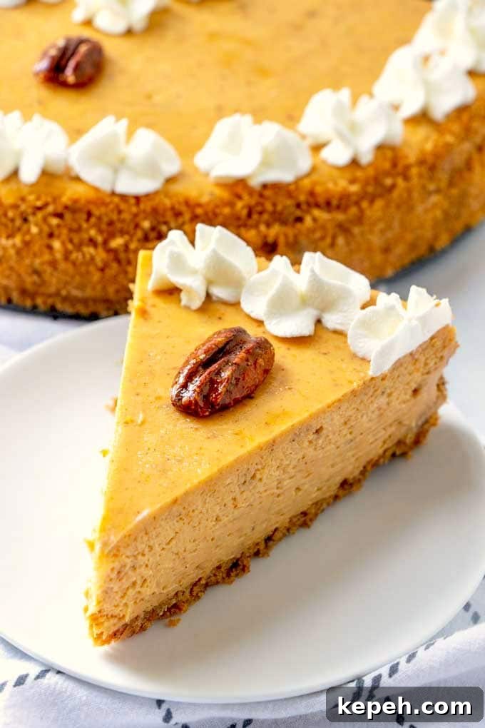 Pumpkin Cheesecake with Pecan Graham Cracker Crust Recipe 5 A sliced of pumpkin cheesecake with a pecan on top and whipped cream