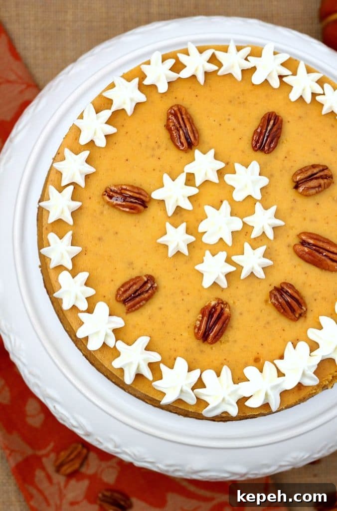 Pumpkin Cheesecake with Pecan Graham Cracker Crust Recipe 6 Top view of the cremiest pumpkin dessert ever!