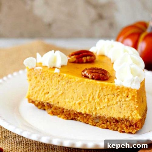 Pumpkin Cheesecake with Pecan Graham Cracker Crust Recipe 7 A sliced of creamy pumpkin spiced cheesecake topped with whipped cream and pecans on a white plate.