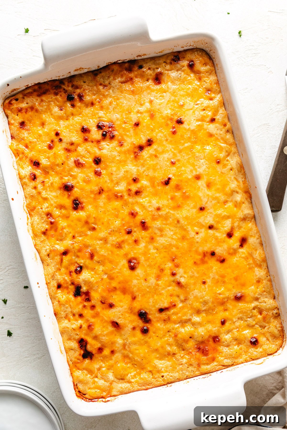Overhead view of macaroni in a cheesy custard sauce.