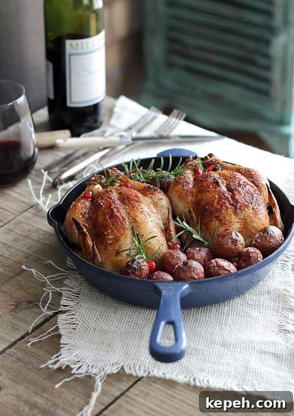 These cranberry apple stuffed Cornish hens are roasted in the oven over a bed of red potatoes. It's a simple, elegant fall meal you'll make over and over.