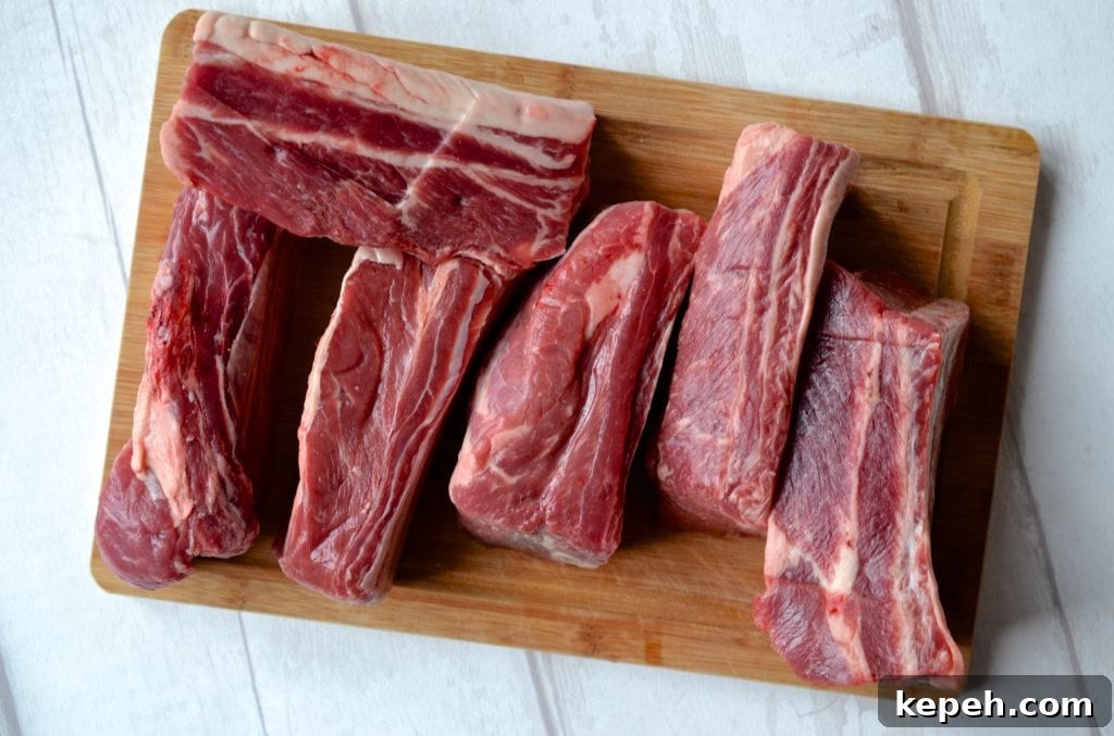 Braised Short Ribs in Wine Sauce