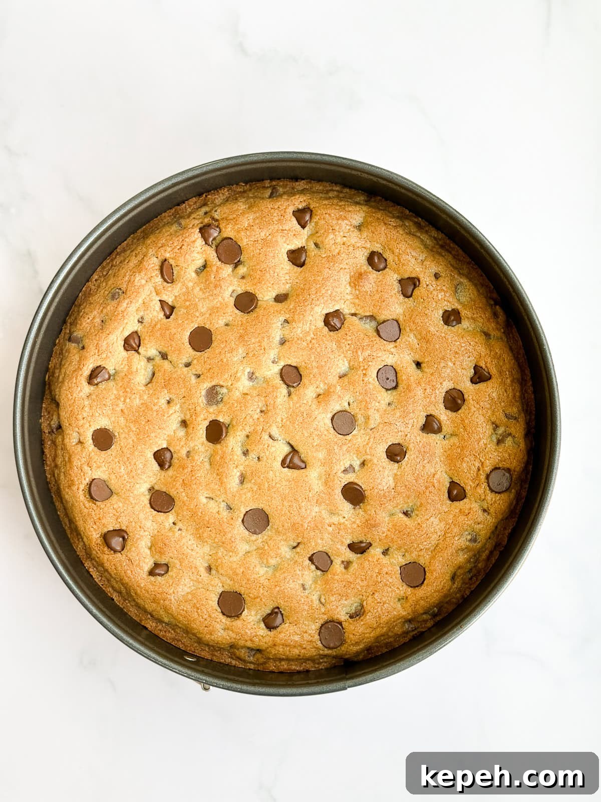 Chocolate Chip Cookie Cake Recipe: Soft, Gooey, Rich 8 cookie cake after baking.