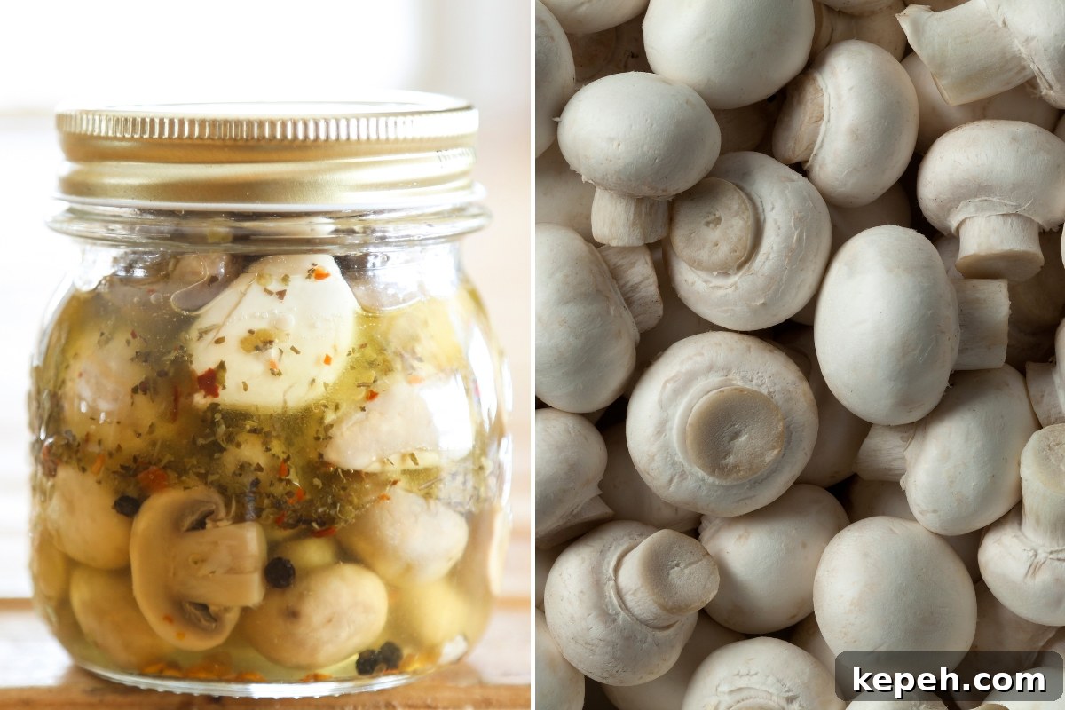 Canning Marinated Mushrooms