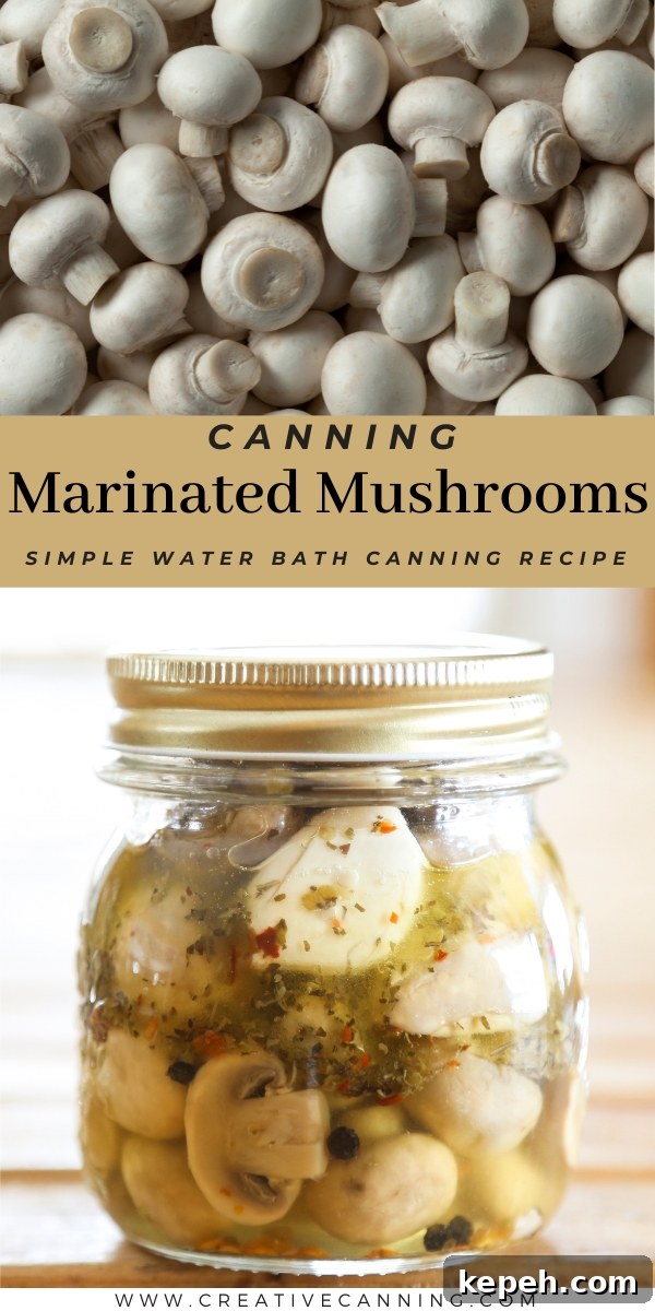Marinated Mushrooms Canning Recipe