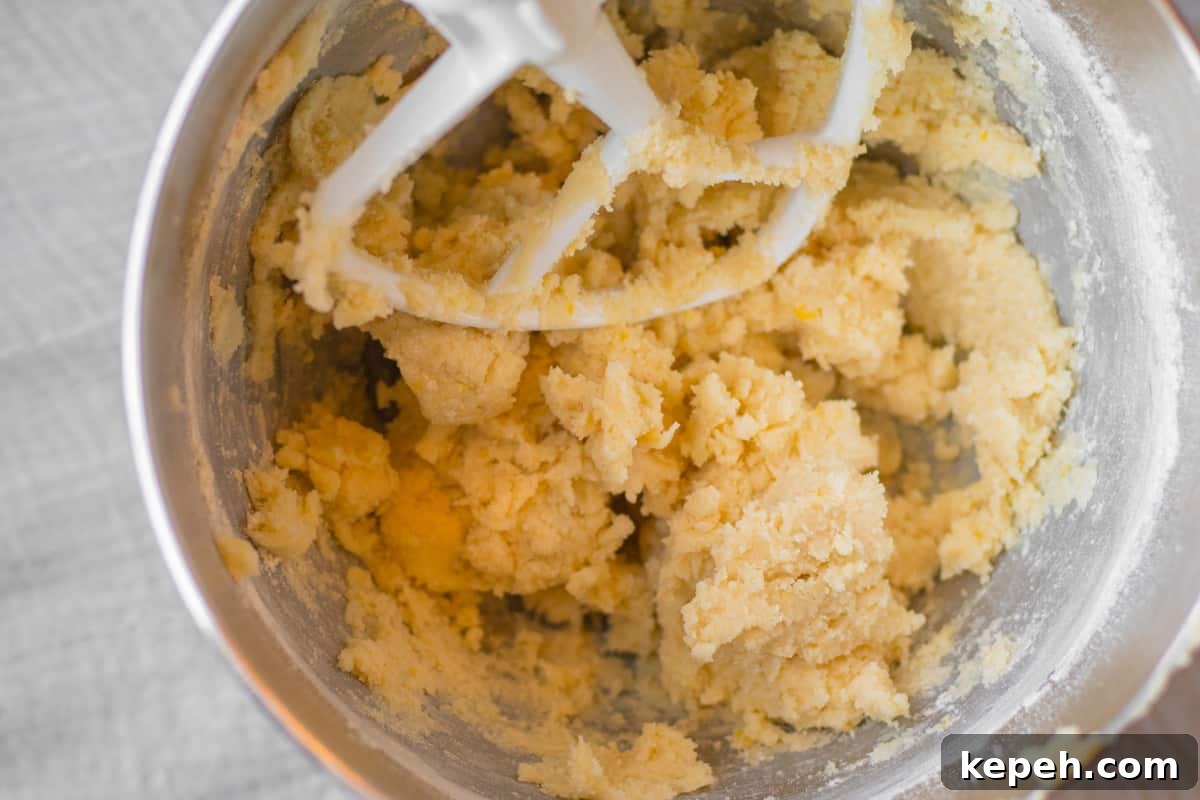 Buttery Lemon Shortbread Cookie Recipe 4 lemon shortbread cookie dough in a stand mixer with paddle atachement