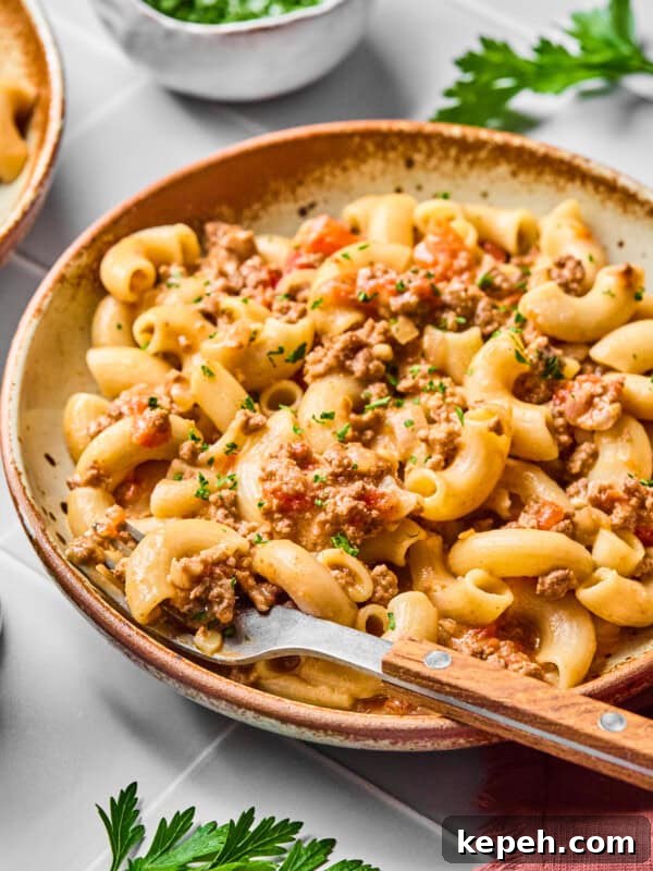 a side view of a bowl of hamburger helper