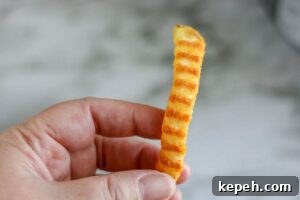 Air Fryer french fries