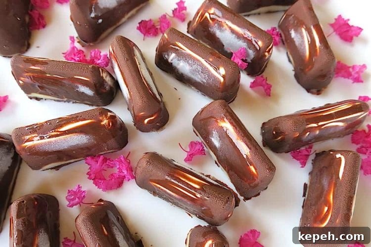 keto sugar free mini snicker ice cream bars