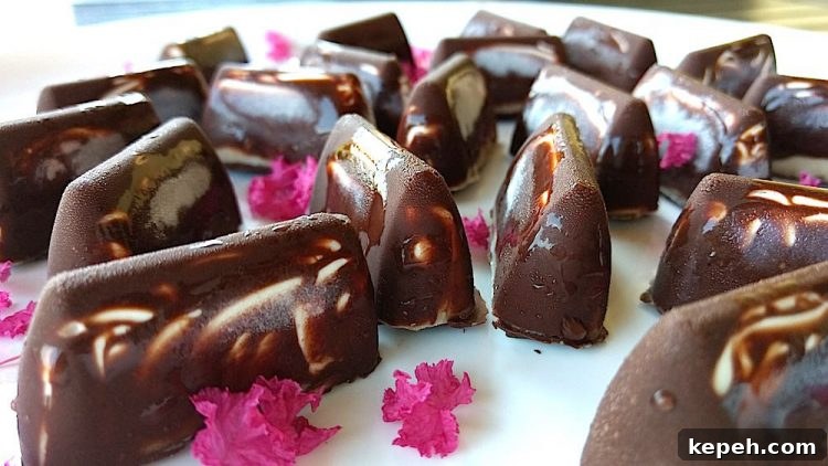 keto sugar free mini snicker ice cream bars