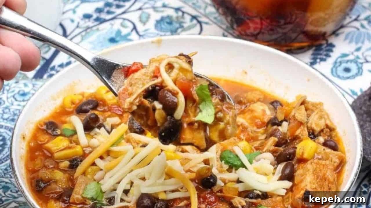 Instant Pot Spicy Black Bean White Chicken Chili