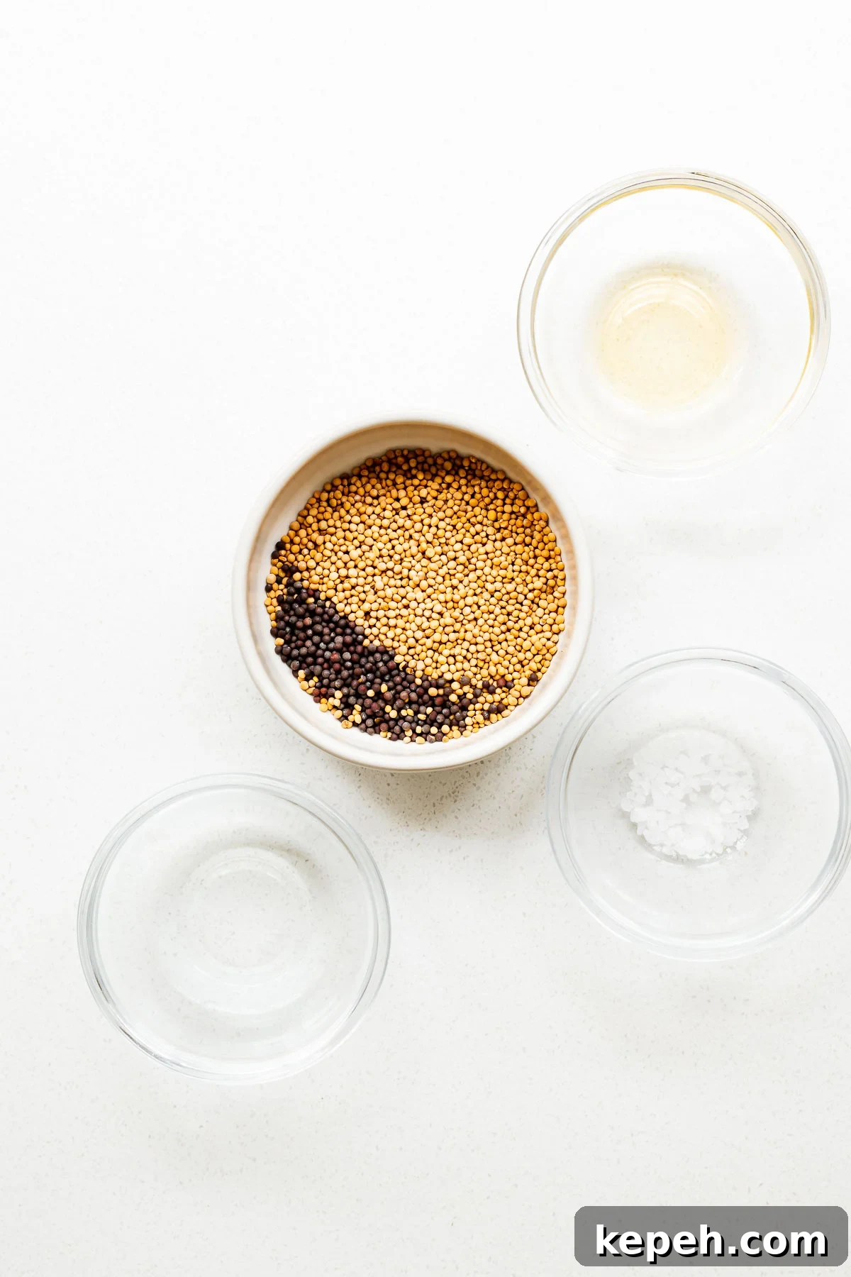 Dijon Mustard Substitutes: Recipe and Flavor Alternatives 3 Ingredients for Dijon mustard include mustard seeds, salt, white wine and vinegar.