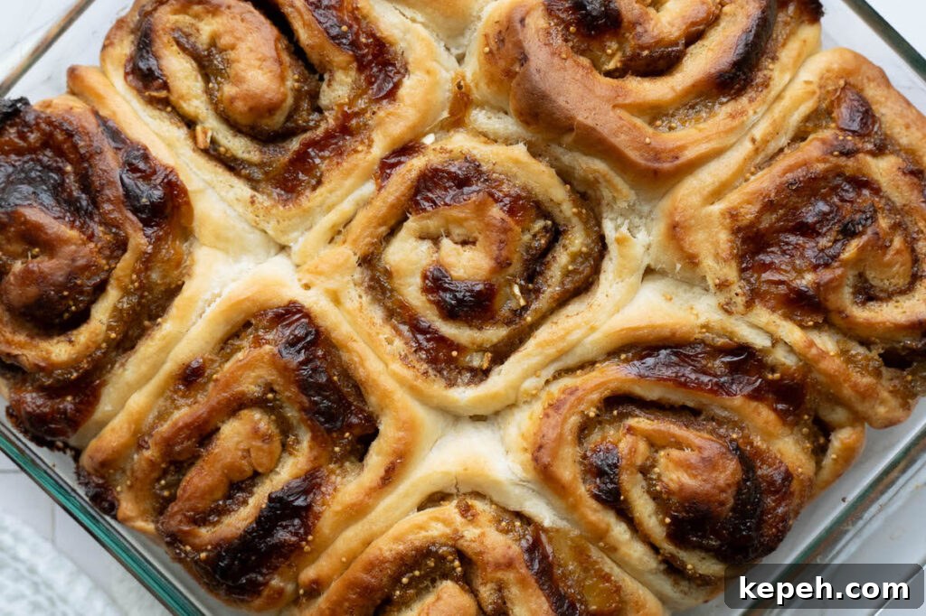 Freshly baked cinnamon rolls filled with homemade fig butter