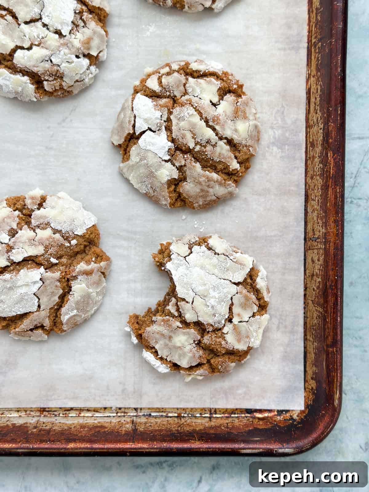 molasses crinkle cookies with a bite missing from one.