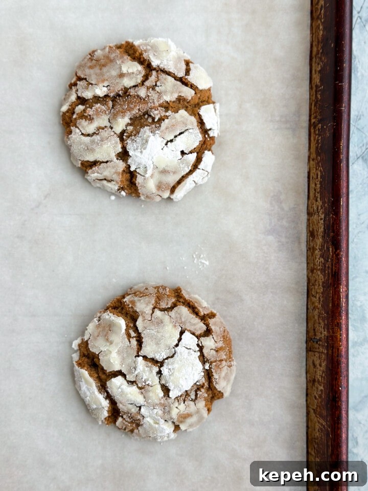 close up of a molasses crinkle cookie after baking.