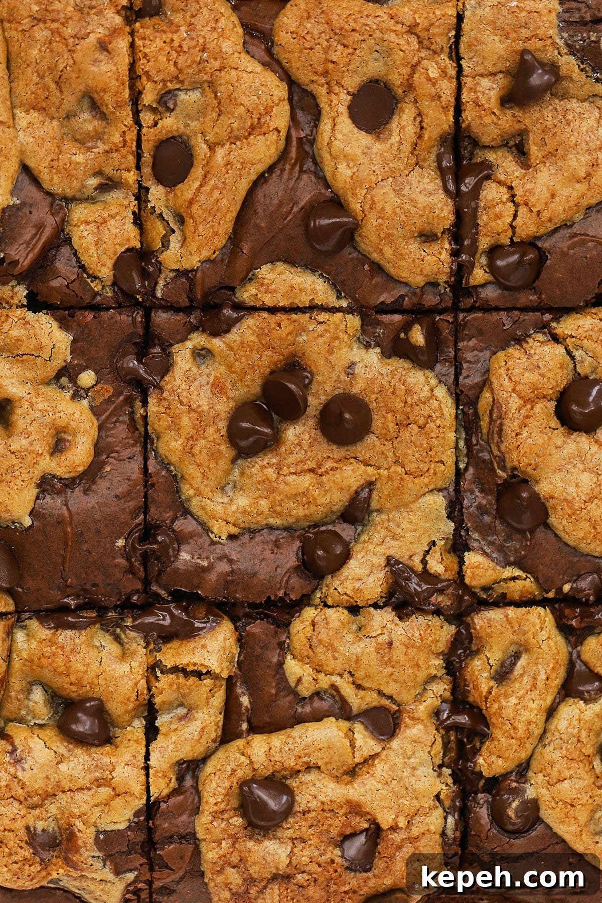gluten-free brownie cookie bars cut into squares