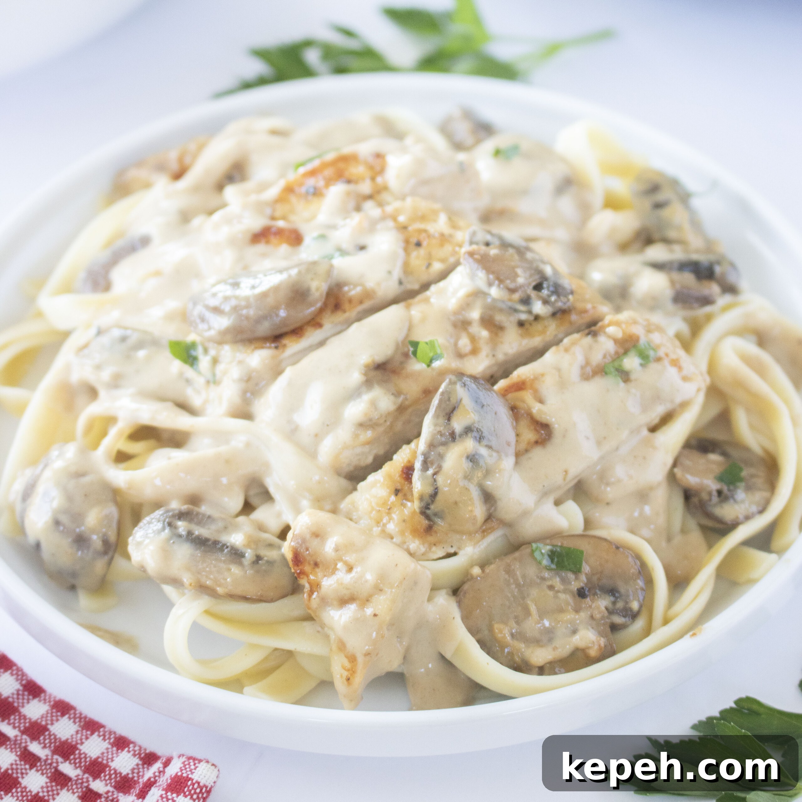 Chicken Marsala Fettuccine on a white plate.