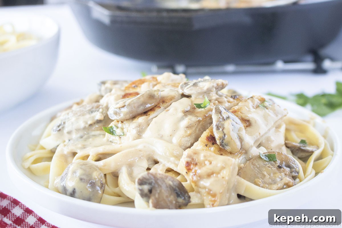 White plate with Chicken Marsala Fettuccine