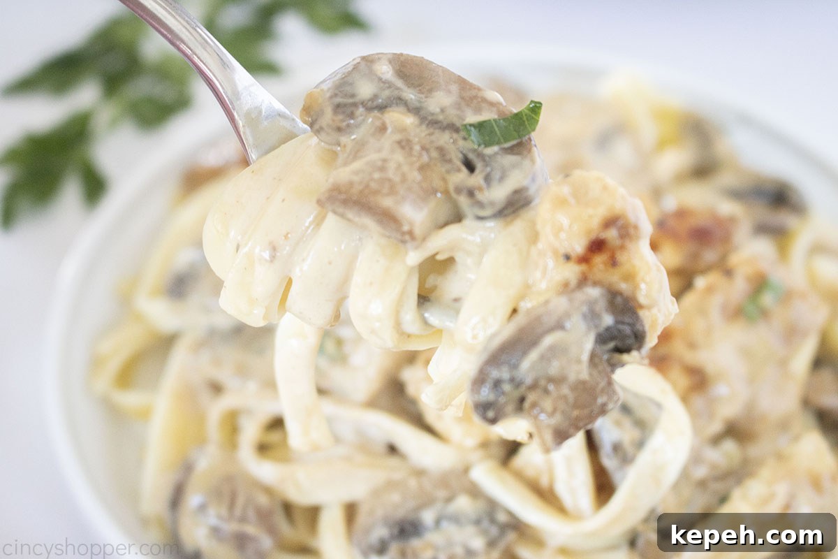 Fork with chicken, mushrooms and fettuccine