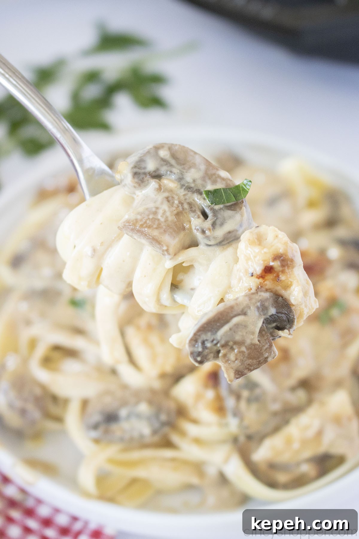 Chicken Marsala with fettuccini on a fork.